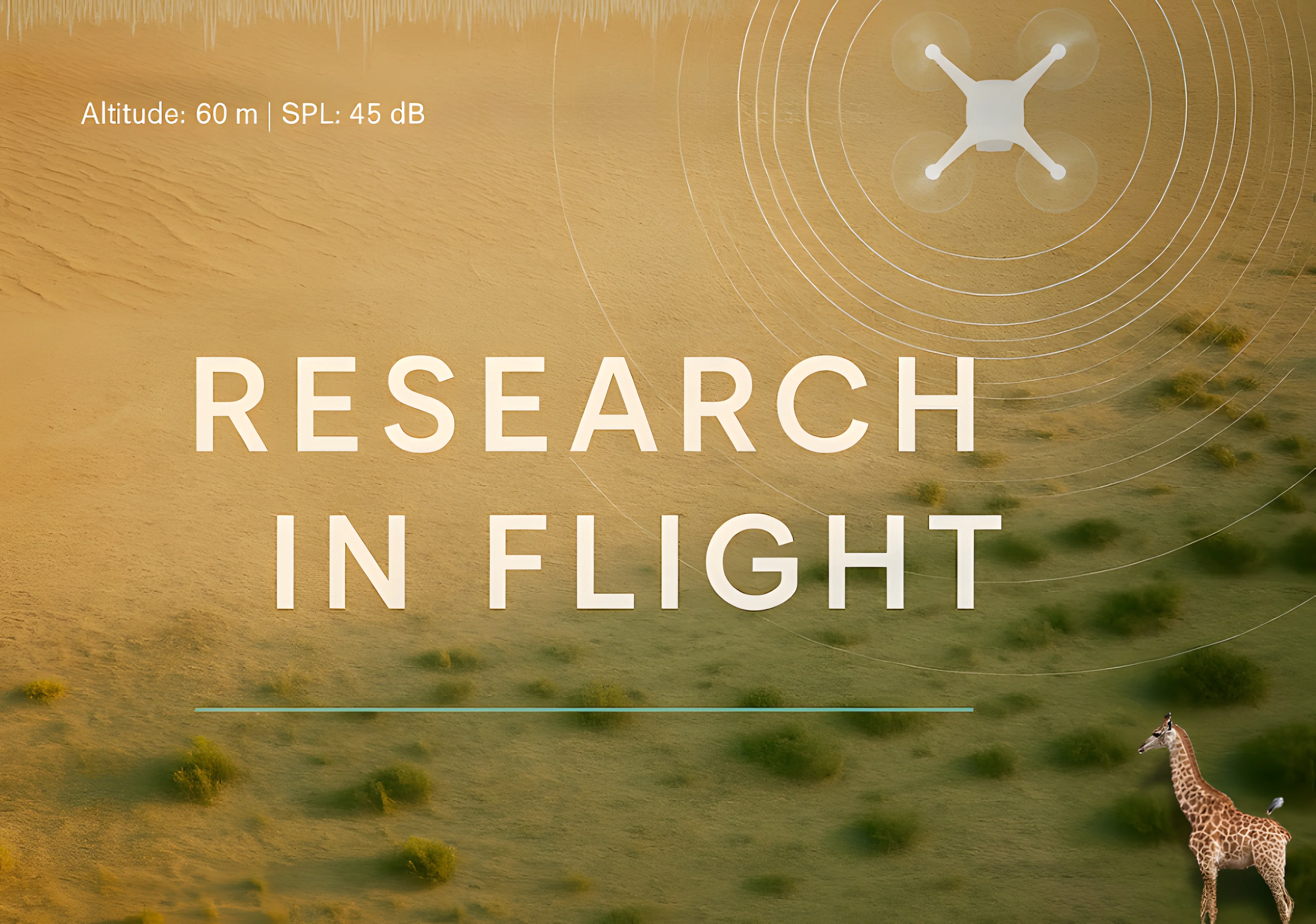 Research in Flight: Saadia Afridi and the Science of Quieter Skies