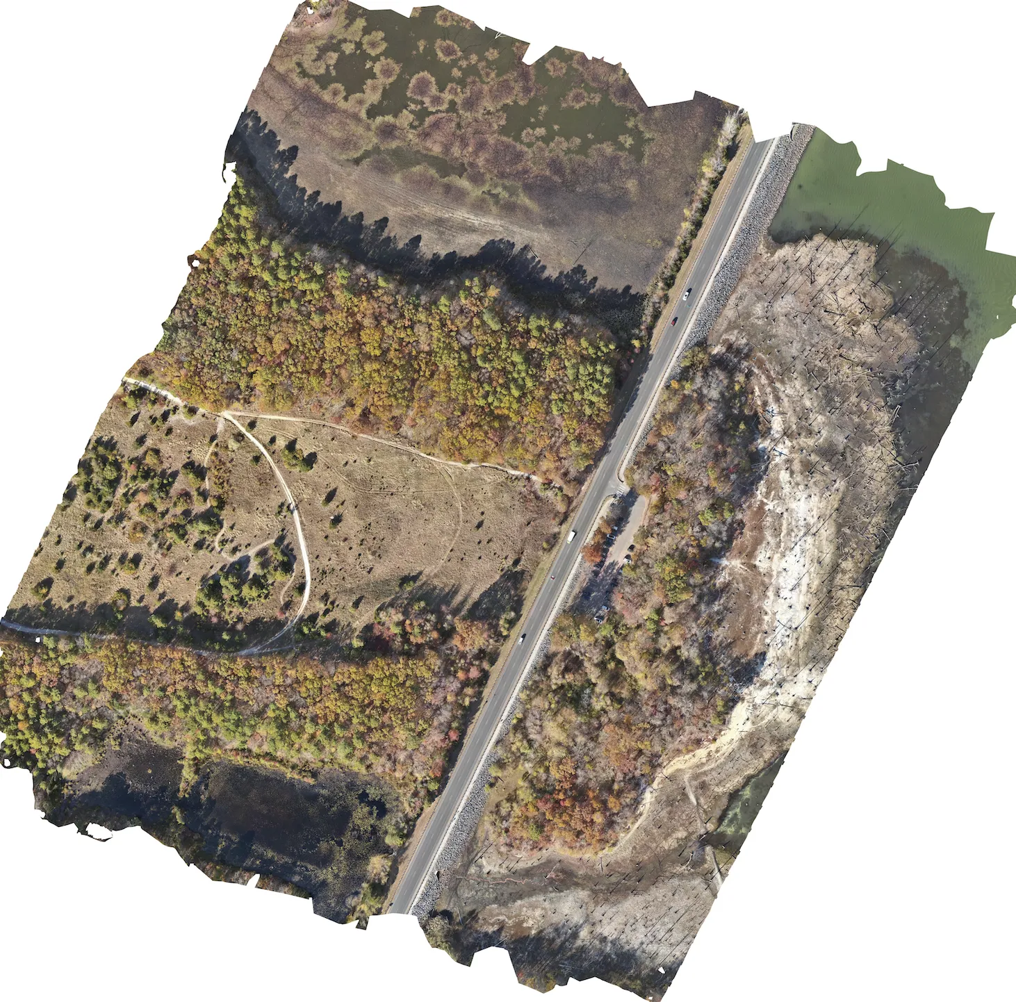 Orthomosaic map for traffic incident management